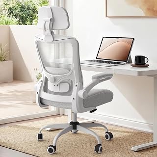 Ergonomic Office Chair for Long Hours, Adjustable Padded Lumbar Support for Lower Back Relief, 330 lb Capacity, Comfortable Computer Desk Chair for Home Office, Work &amp; Study