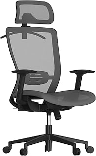 FLEXISPOT
