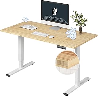 FLEXISPOT