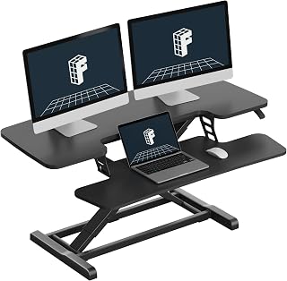 FLEXISPOT