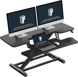 FLEXISPOT