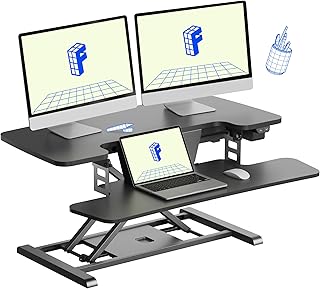 FLEXISPOT